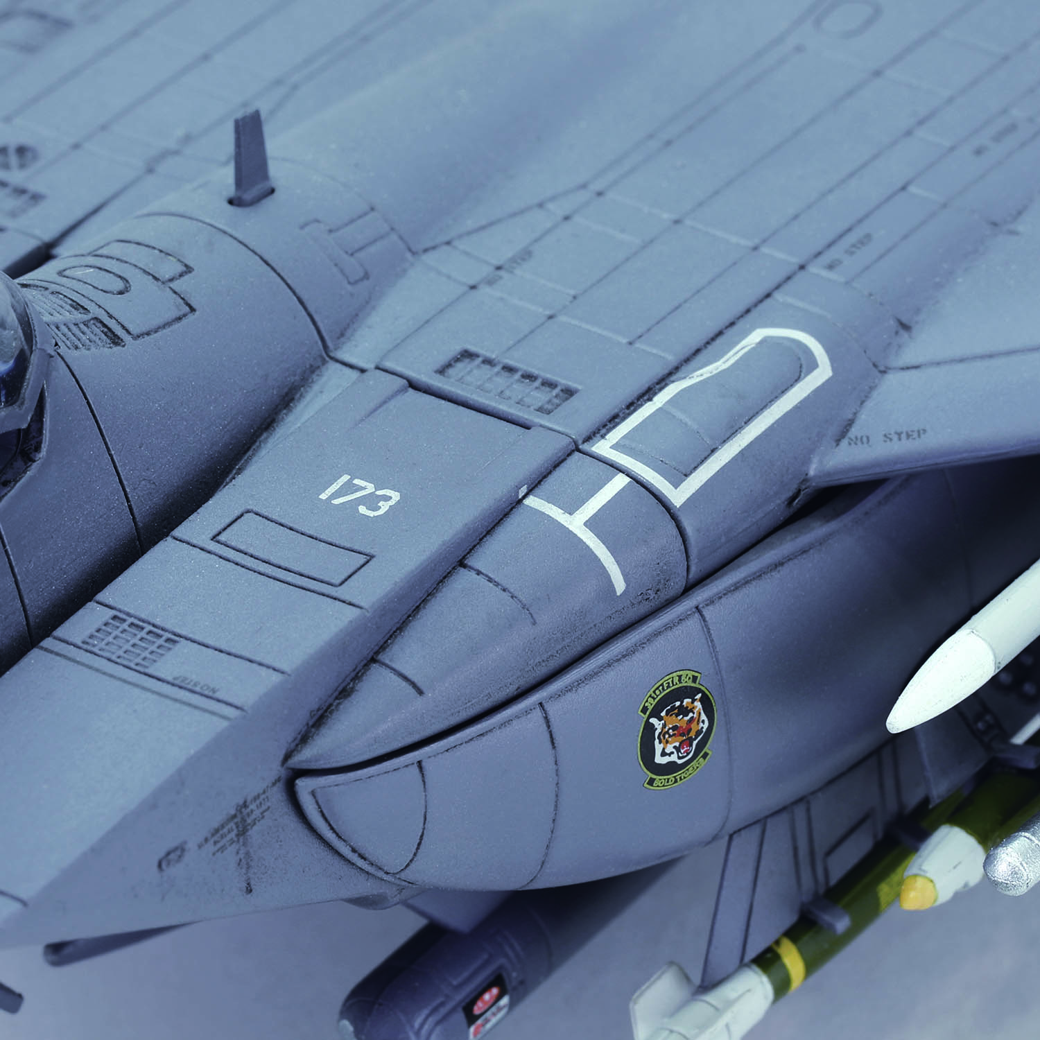 Boeing F-15E Strike Eagle“Shark Mouth”,USAF #87-0173, 391st FS 'Bold Tigers' ,366th Fighter Wing, Mountain Home AFB, Idaho, 2002